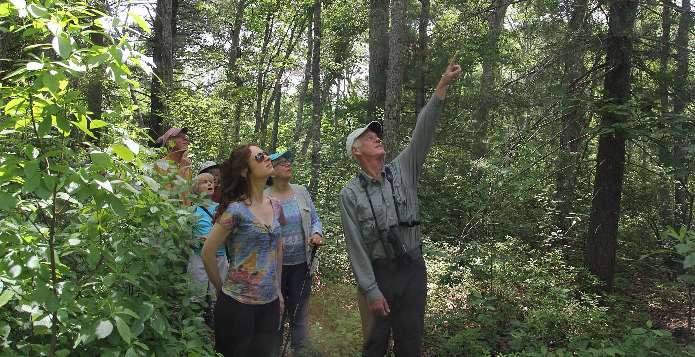 Carlisle Trail Walk